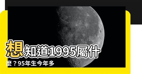 95年次屬什麼